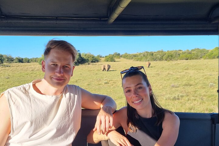 Riserva di gioco Schotia di mezza giornata (veicolo Safari 4x4 aperto)