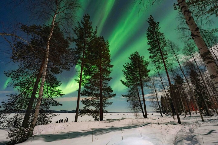 Excursión para grupos pequeños para fotografiar la aurora boreal en Rovaniemi