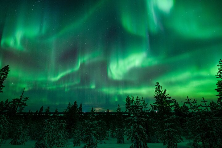 Excursión para grupos pequeños para fotografiar la aurora boreal en Rovaniemi