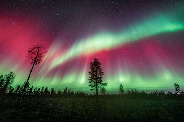 Excursión para grupos pequeños para fotografiar la aurora boreal en Rovaniemi