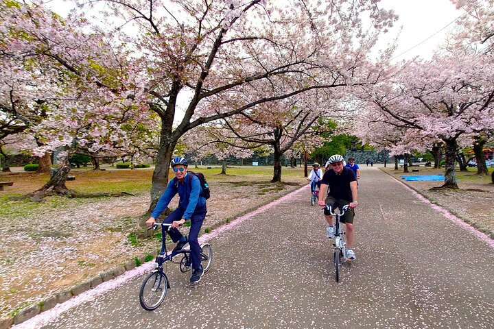 Tokushima og Mt. Bizan BROMPTON Slow Cycling Tour