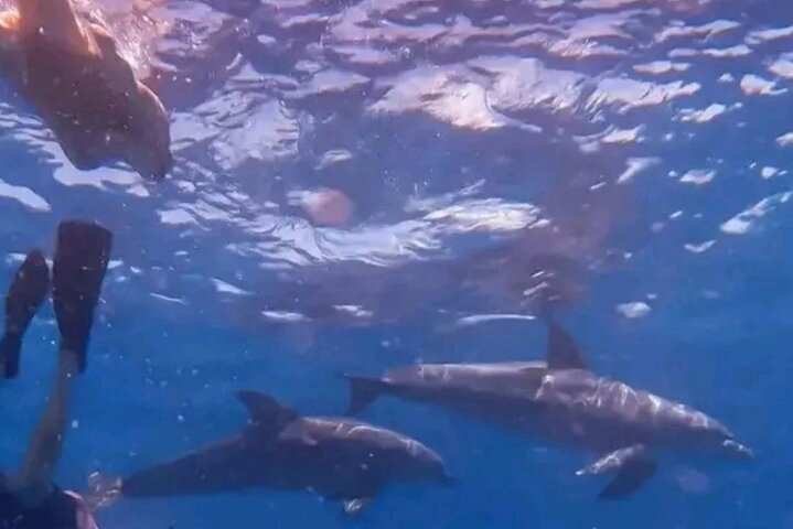 Hoteller i nærheden af Mnemba Island Dolphins Watching and Snorkeling