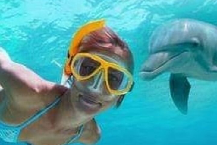 Hoteller i nærheden af Mnemba Island Dolphins Watching and Snorkeling