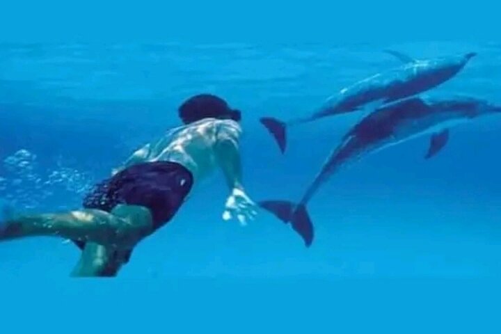 Hoteller i nærheden af Mnemba Island Dolphins Watching and Snorkeling