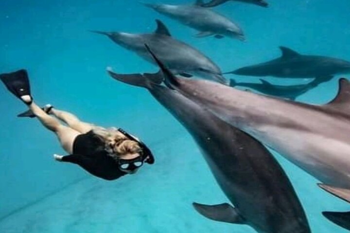 Hoteller i nærheden af Mnemba Island Dolphins Watching and Snorkeling