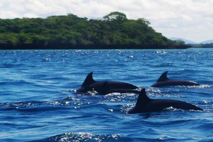 Hoteller i nærheden af Mnemba Island Dolphins Watching and Snorkeling