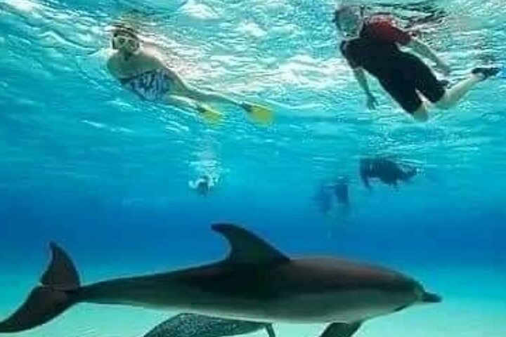 Hoteller i nærheden af Mnemba Island Dolphins Watching and Snorkeling