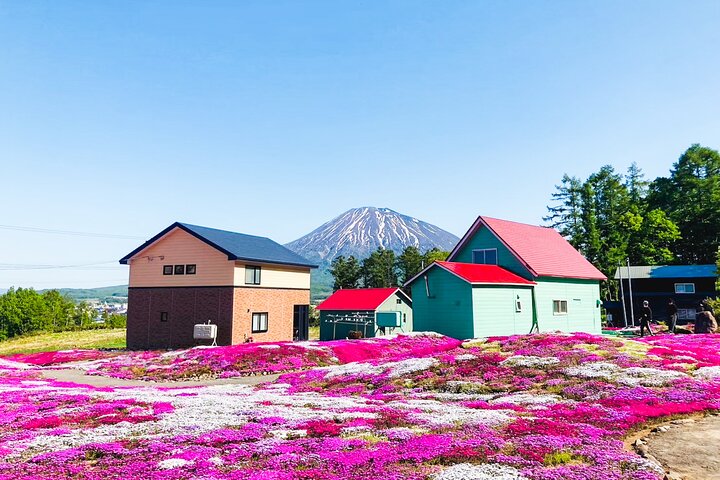 Wo immer du willst! 1-tägige private Tour von Sapporo nach Furano mehr