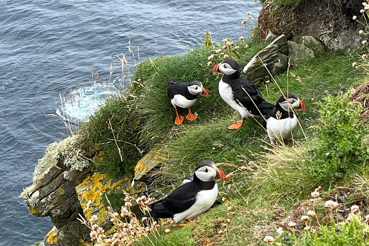Shetland South Mainland Tour Isola di St Ninian e Jarlshof