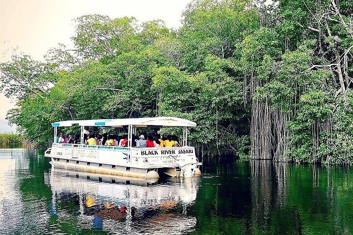 YS Falls y Black River Safari Costa Sur desde Negril Jamaica
