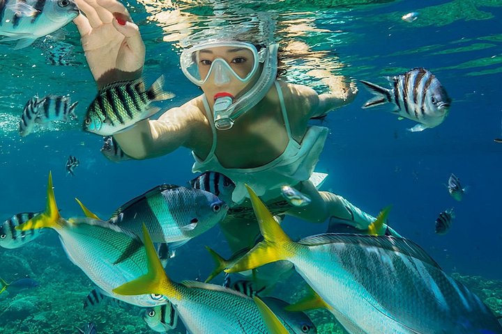 Viagem a Koh Larn a partir de Pattaya com Snorkeling Jetski Parasailing