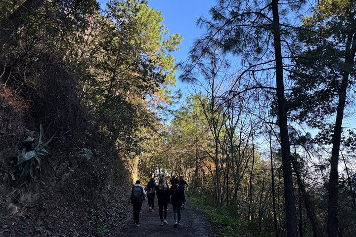 Parco Naturale Chipinque - Mattina / Pomeriggio a piedi (Gruppo / Privato)