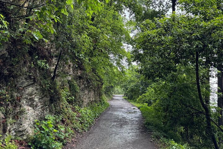 Parco Naturale Chipinque - Mattina / Pomeriggio a piedi (Gruppo / Privato)
