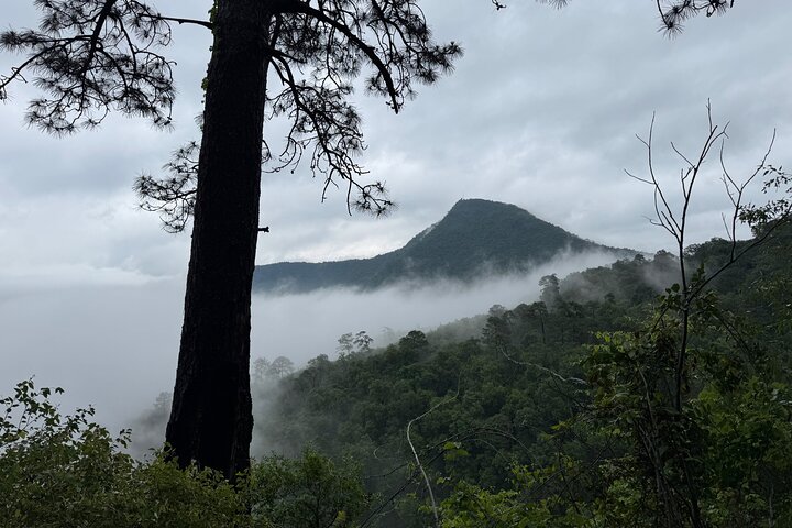 Parco Naturale Chipinque - Mattina / Pomeriggio a piedi (Gruppo / Privato)