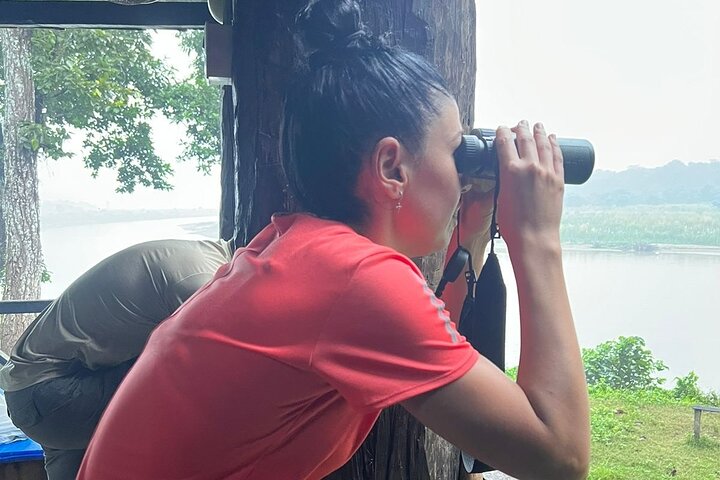2Nacht 3Tage Chitwan Jungle Tower Nachtaufenthalt und CNP Nepal Safari