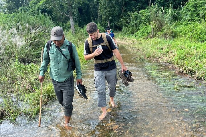2Nacht 3Tage Chitwan Jungle Tower Nachtaufenthalt und CNP Nepal Safari