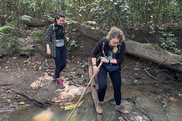 2Nacht 3Tage Chitwan Jungle Tower Nachtaufenthalt und CNP Nepal Safari