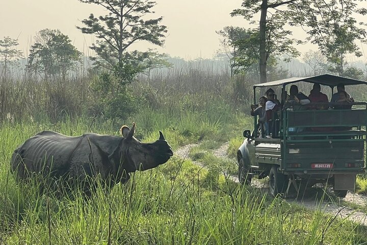 2Nacht 3Tage Chitwan Jungle Tower Nachtaufenthalt und CNP Nepal Safari