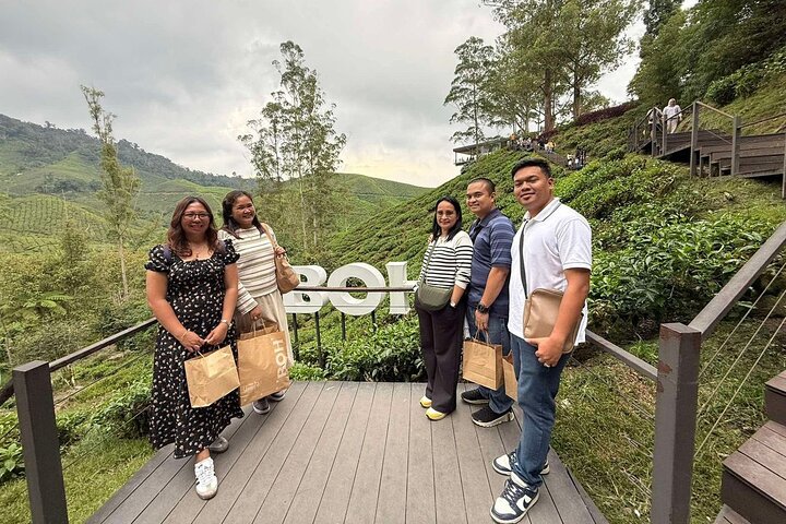 Excursion d'une journée à Cameron Highlands au départ d'Ipoh avec déjeuner et forêt moussue