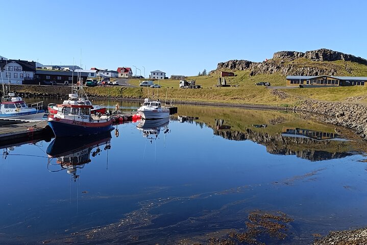 Tour desde Djúpivogur : Stokksnes-Vestrahorn-Höfn (Mittagessen) - Aussichtspunkt