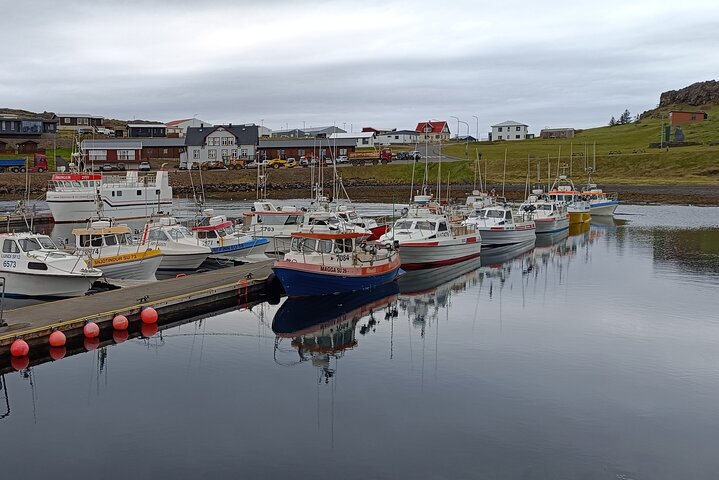Tour desde Djúpivogur : Stokksnes-Vestrahorn-Höfn (Mittagessen) - Aussichtspunkt