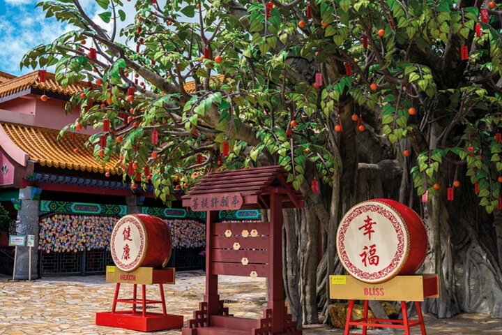Best Seller : Teleférico VIP Lantau Tai O Tour Priority, Gran Buda
