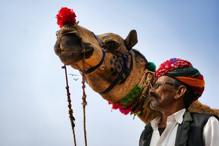 Visite privée de 6 jours du triangle d'or: Delhi, Agra, Jaipur en voiture
