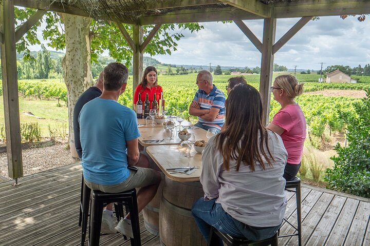 Excursión de un día a Saint-Émilion: visita al pueblo, castillos y almuerzo