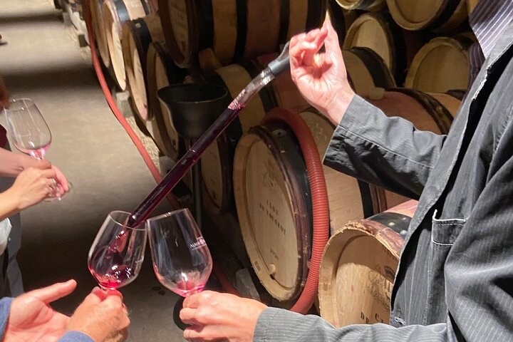 Full-Day Bourgogne Vin & Gastronomi: Tastings & Gourmet Lunch