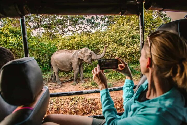 Vanuit Ella: Shuttle naar Tangalle/Mirissa/Galle met Yala Safari Tour