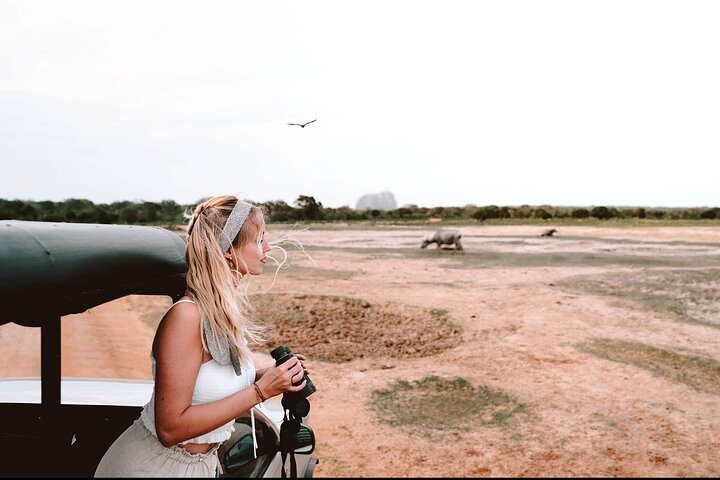 Vanuit Ella: Shuttle naar Tangalle/Mirissa/Galle met Yala Safari Tour