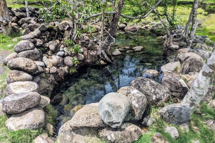 Boquete Gemas Ocultas : Aguas termales y cascadas Tour privado
