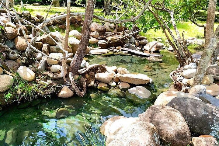 Boquete Gemas Ocultas : Aguas termales y cascadas Tour privado