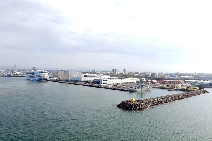 Cruise Port Transfer : Reykjavik to Cruise Port