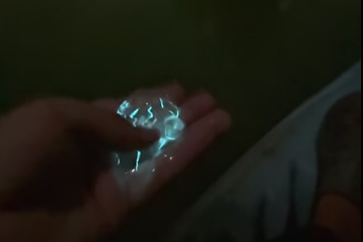 Florida Bioluminescentie Kajaktocht (Titusville)