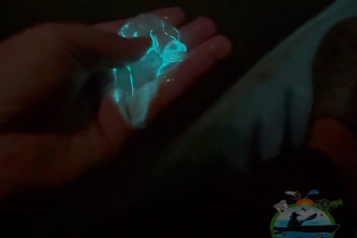 Florida Bioluminescentie Kajaktocht (Titusville)