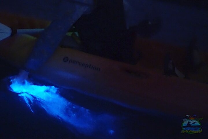 Florida Bioluminescentie Kajaktocht (Titusville)