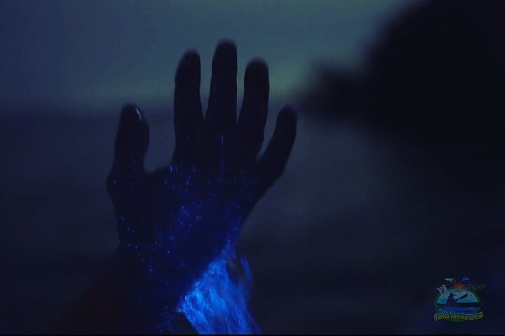 Florida Bioluminescentie Kajaktocht (Titusville)