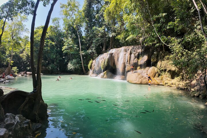 Kanchanaburi Tour Templo das Cataratas Erawan e Árvore de Chuva Gigante