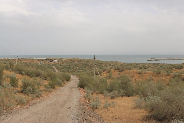 Tour di 2 giorni in campeggio Aydar Lake Yurt da Bukhara
