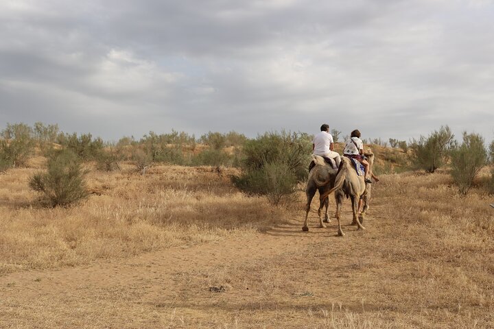 Tour di 2 giorni in campeggio Aydar Lake Yurt da Bukhara