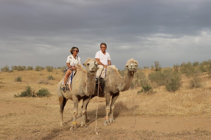 Tour di 2 giorni in campeggio Aydar Lake Yurt da Bukhara