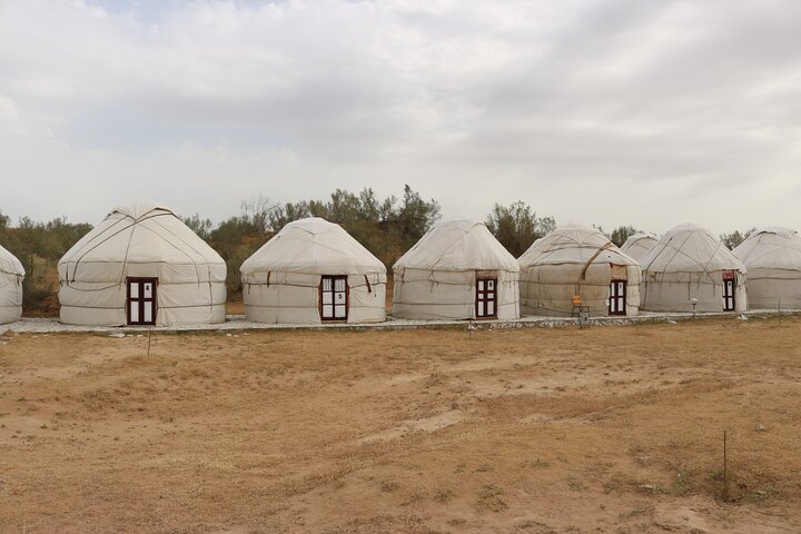 Tour di 2 giorni in campeggio Aydar Lake Yurt da Bukhara