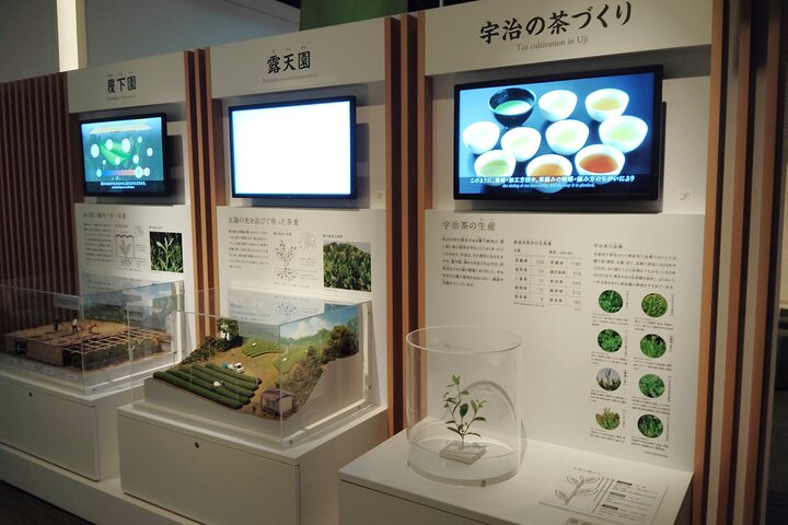 Kyoto: Teamuseum og Tsuen Teahouse guidet tur
