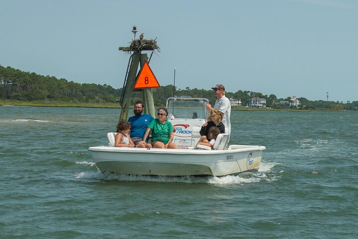 1 hora de festa privada Assateague Island Pony Cruise em Ocean City