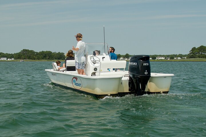 1 hora de festa privada Assateague Island Pony Cruise em Ocean City