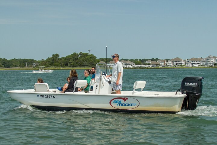 1 hora de festa privada Assateague Island Pony Cruise em Ocean City