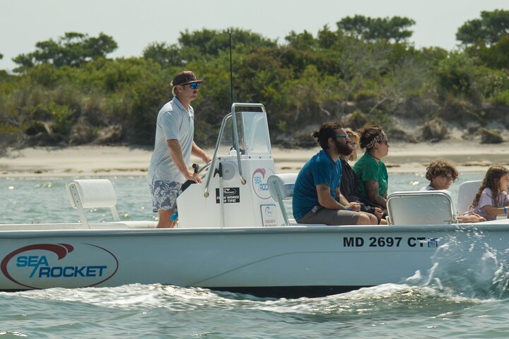 1 hora de festa privada Assateague Island Pony Cruise em Ocean City