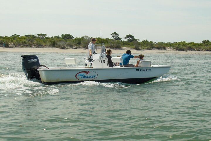 1 hora de festa privada Assateague Island Pony Cruise em Ocean City