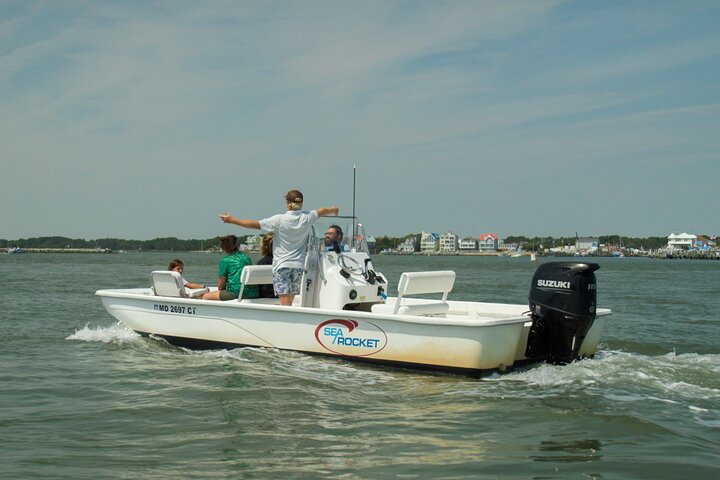1 hora de festa privada Assateague Island Pony Cruise em Ocean City